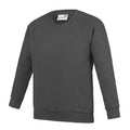 Charcoal - Front - AWDis Academy Childrens-Kids Crew Neck Raglan School Sweatshirt (Pack of 2)