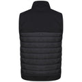 Black - Back - Tombo Unisex Adult Padded Gilet