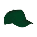 Bottle - Back - Result Unisex Adult Core Recycled Baseball Cap