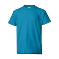 Teal - Front - Hanes Ecosmart Youth T-Shirt