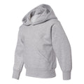 Light Steel - Side - Hanes Ecosmart Youth Hooded Sweatshirt