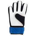 Blue-White - Back - England FA Childrens-Kids Goalkeeper Gloves