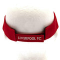 Red - Back - Liverpool FC Unisex Adult Crest Visor