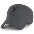 Charcoal - Front - Liverpool FC Unisex Adult Core Cap