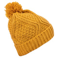 Honeybee - Back - Trespass Womens-Ladies Zyra Knitted Beanie