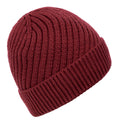 Dark Cherry - Back - Trespass Womens-Ladies Twisted Knitted Beanie