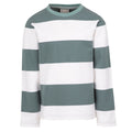 Spruce Green - Front - Trespass Boys Ferry Striped Long-Sleeved T-Shirt