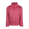 Strawberry - Front - Trespass Unisex Adult Remetto AT100 Fleece Top