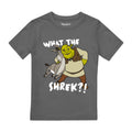 Charcoal - Front - Shrek Boys Best Buds T-Shirt