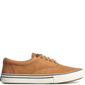 Tan - Side - Sperry Mens Striper II Storm CVO Suede Waterproof Casual Shoes